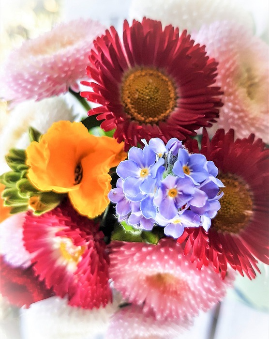 spring flowers, small bouquet, colorful
