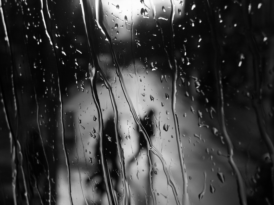drops of water, water, rain