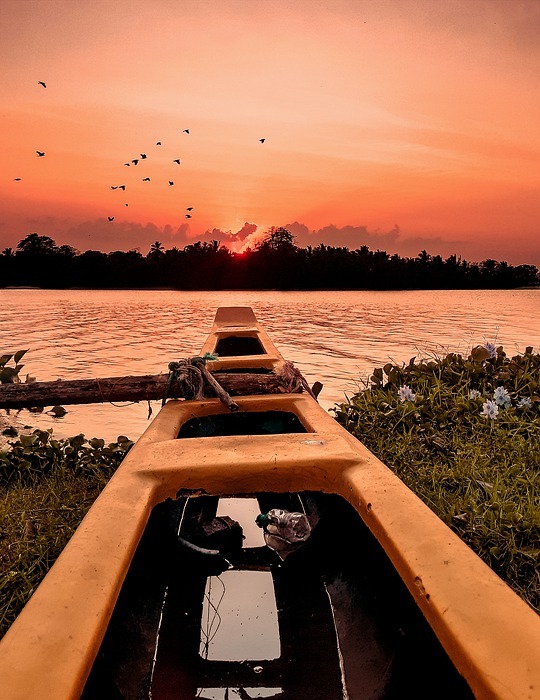 sunset, birds, kayak