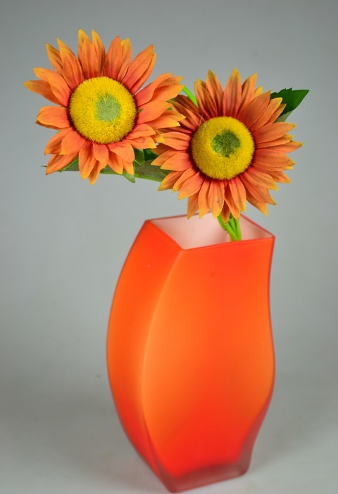 sunflower, orange, warm