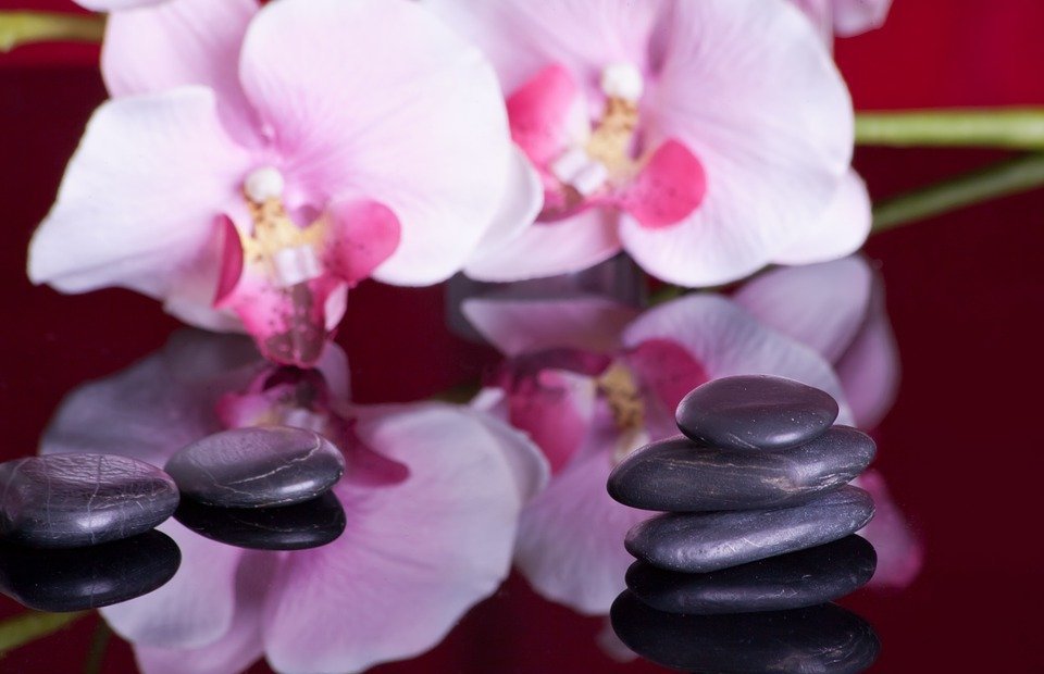 massage, mirroring, orchid