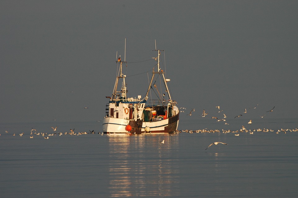 fishing boat, baltic sea, sea