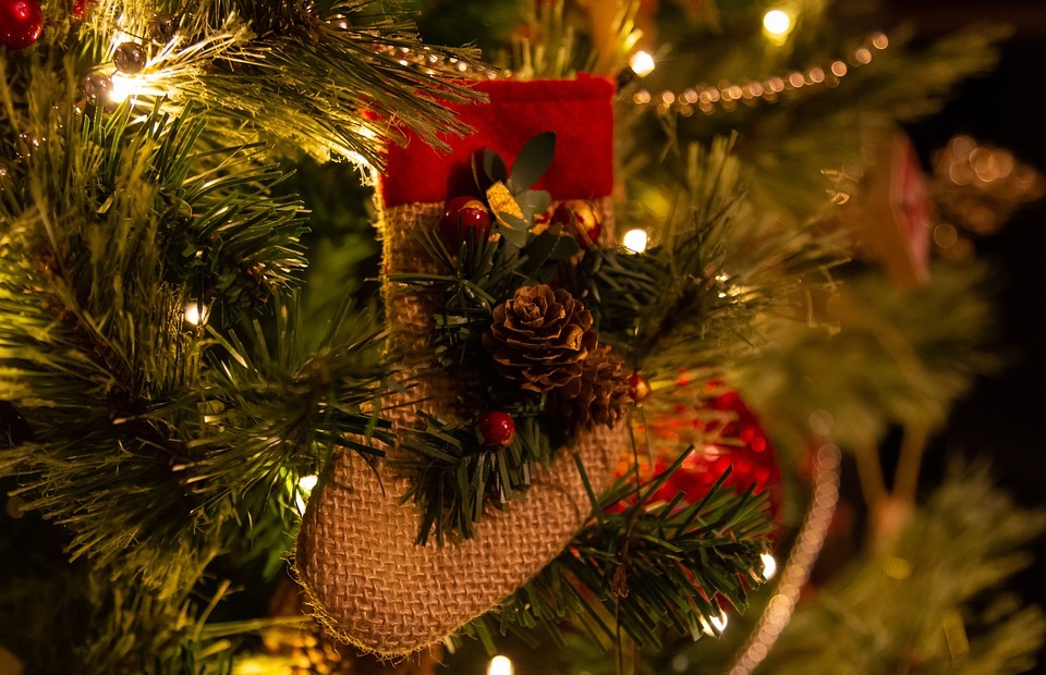 holiday, christmas, christmas tree