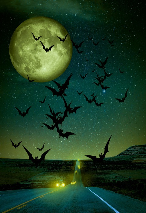 halloween, moon, atmosphere