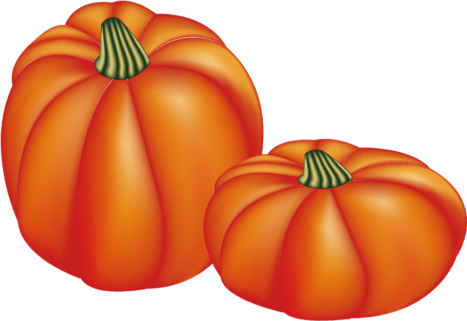 pumpkin, mesh, thanksgiving