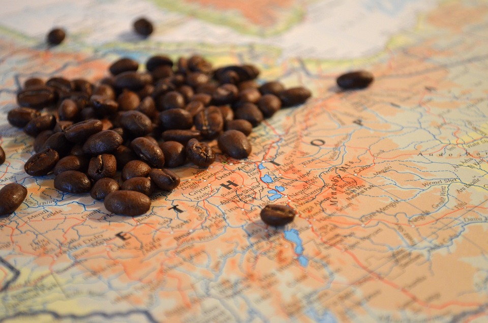 coffee, beans, ethiopia