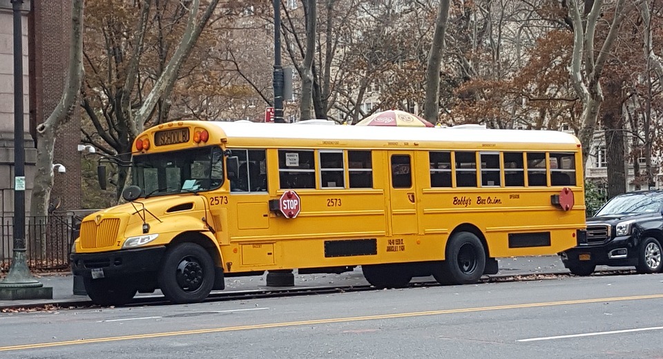 bus, new york city, school