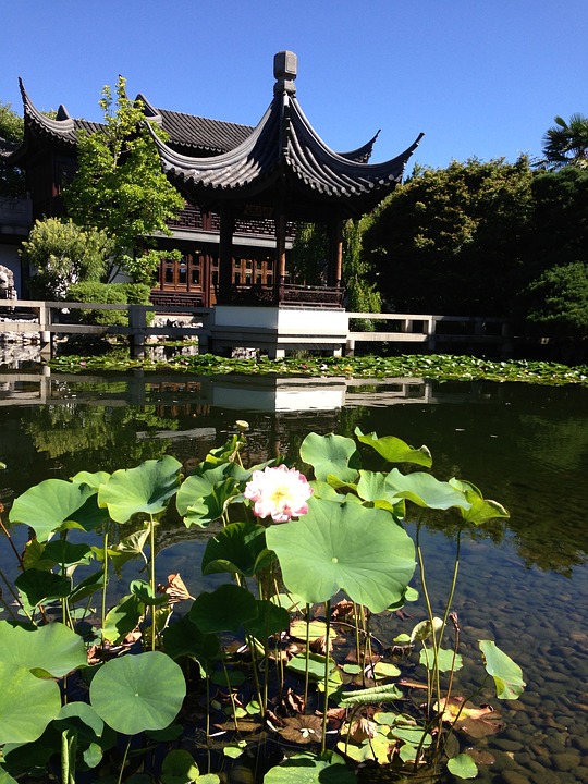 temple, lotus, zen