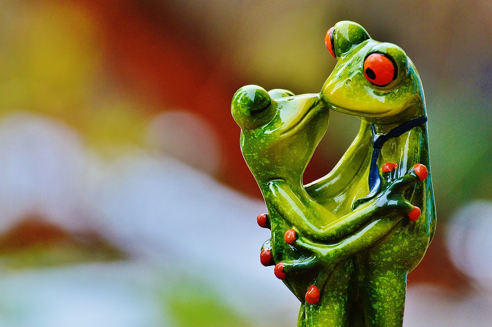 valentine's day, love, frogs