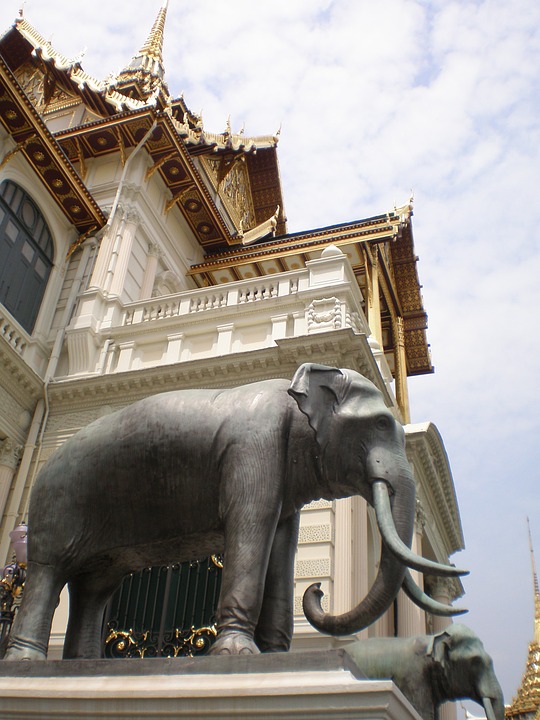 temple, thai, elephant