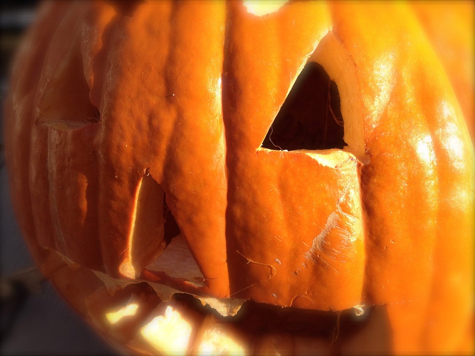 pumpkin, jack-o-lantern, halloween