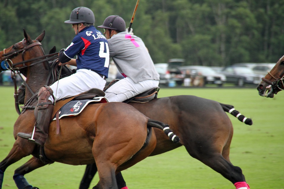 polo, players, horses