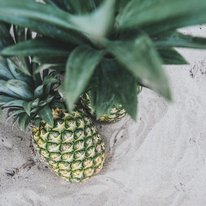 pineapple, fruit, tropical