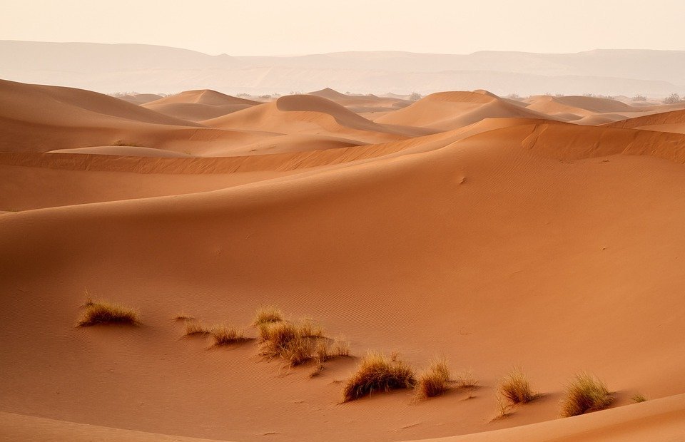 desert, sahara, dunes