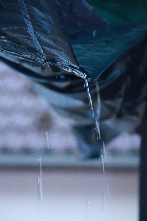 water, drops, rain