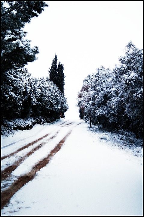 snow, nevada, snowy road