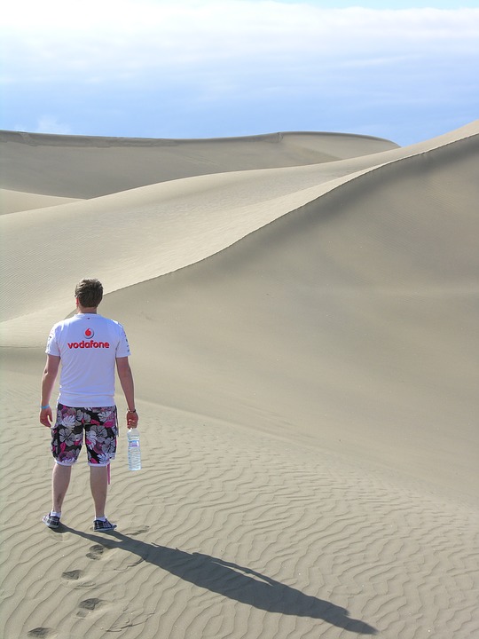 desert, sand, dune