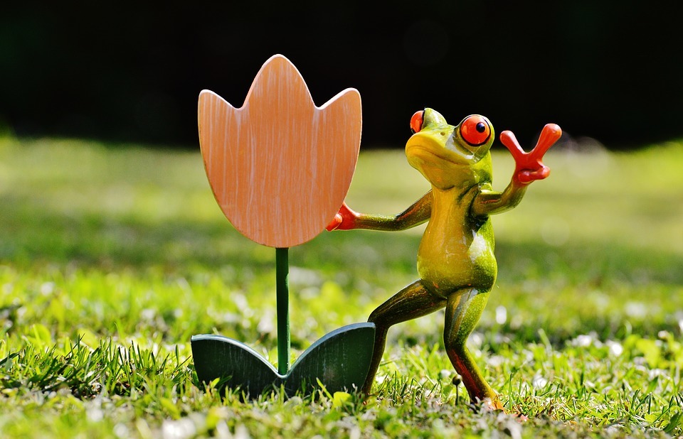 frog, flower, funny