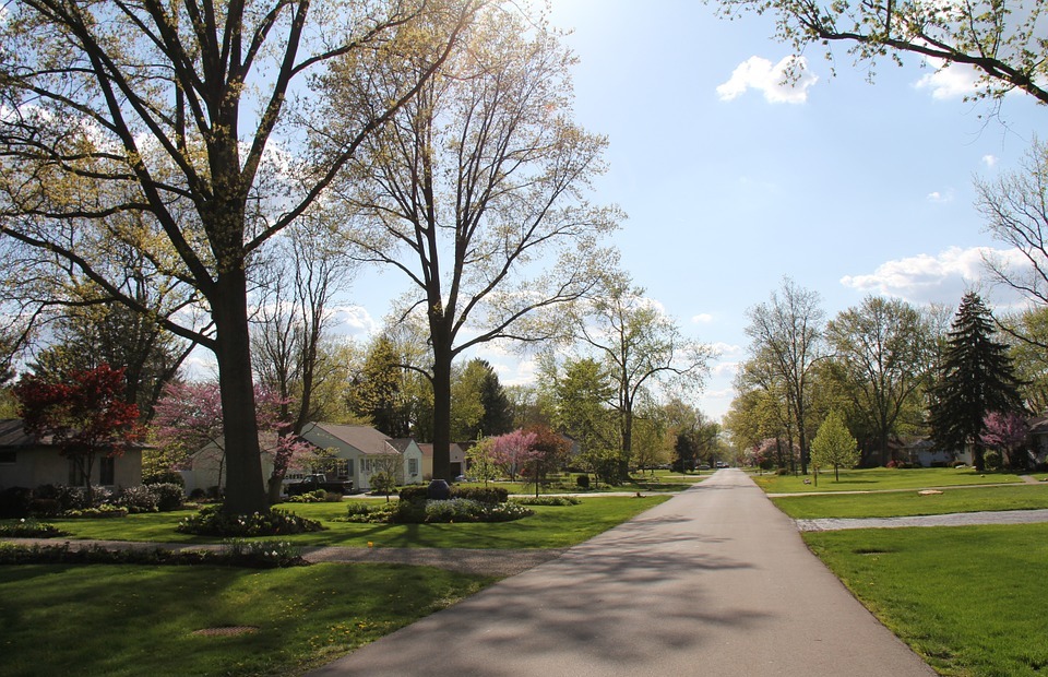 neighborhood, spring, yard