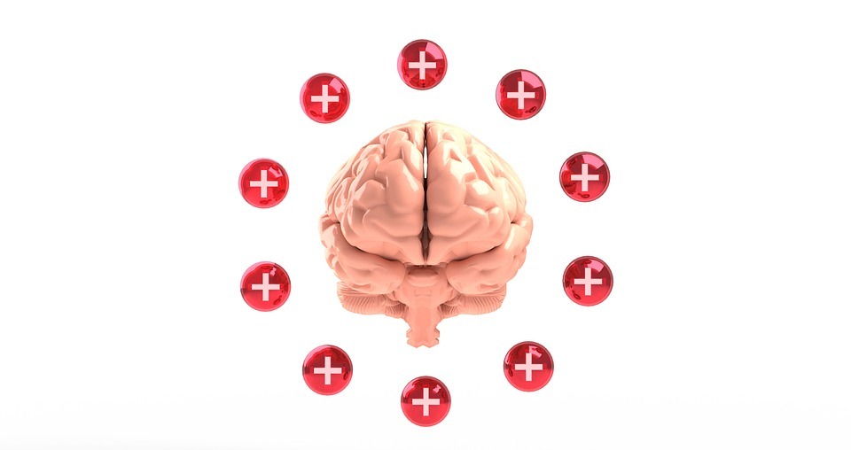 brain, mental, health
