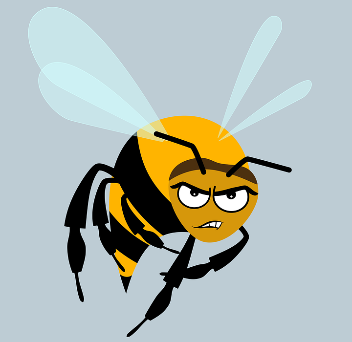 bee, angry, insect