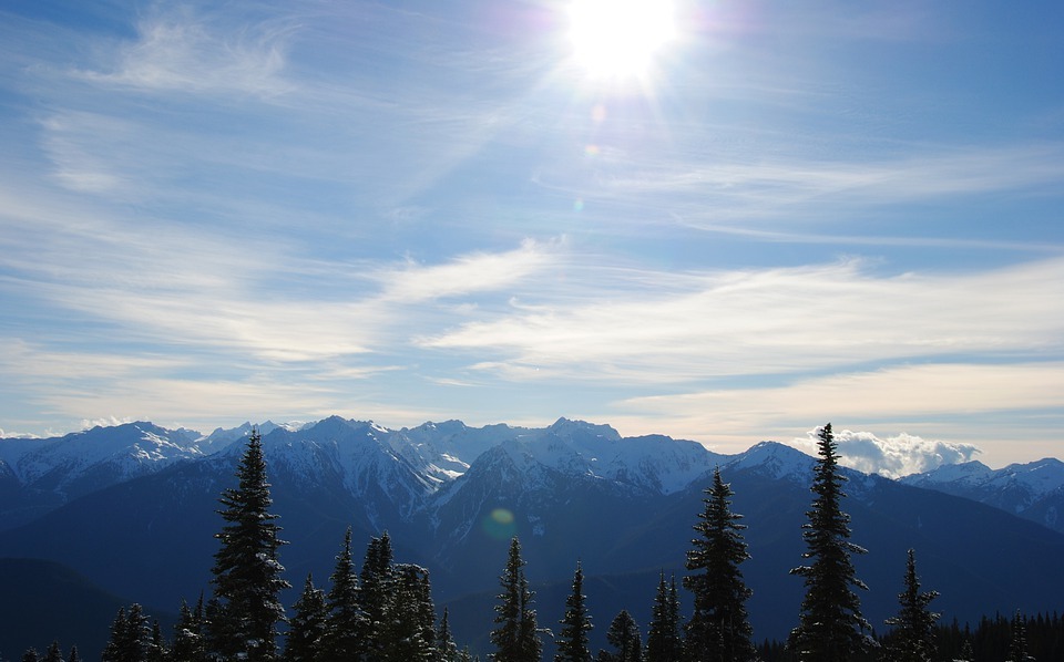 snowy mountains, snow, olympic national park