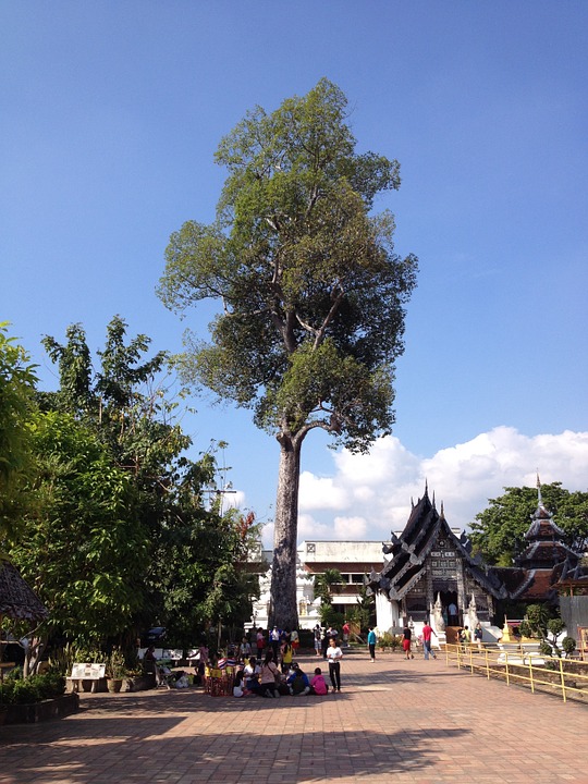 temple, chiang mai, buddist
