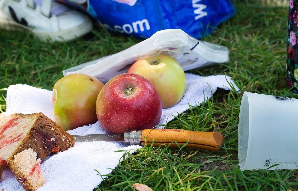 picnic, apples, food