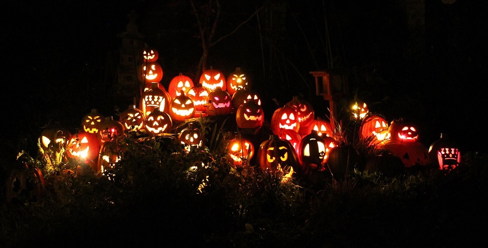 pumpkins, jack-o-lanterns, halloween