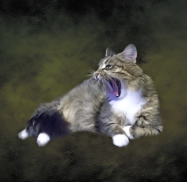 cat, angry, oil painting