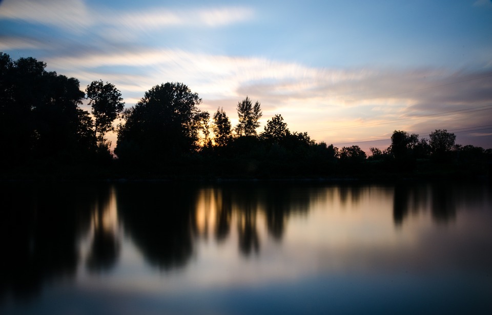 silhouette, lake, trees