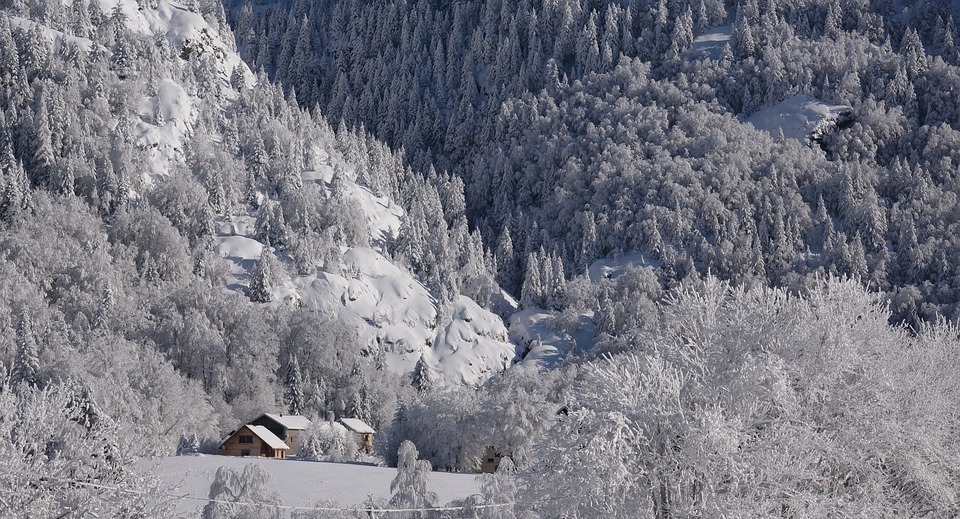 snowy landscape, winters, mountain fir