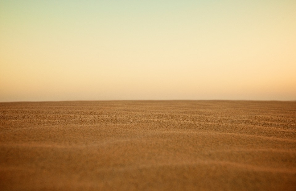 sand, dune, desert