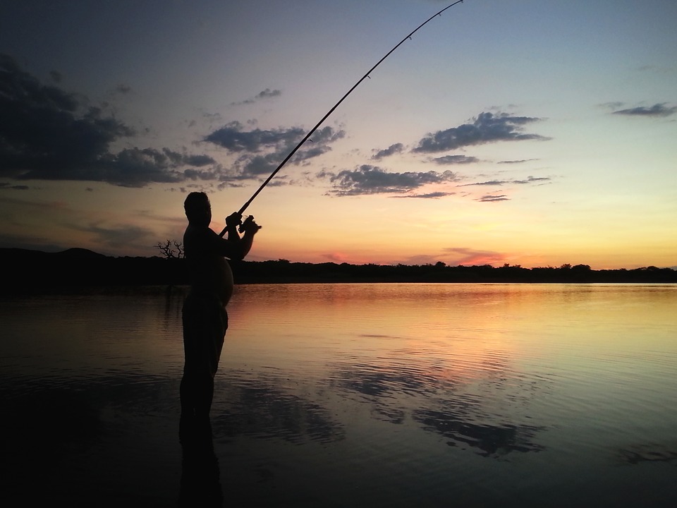 fishing, sunset, water