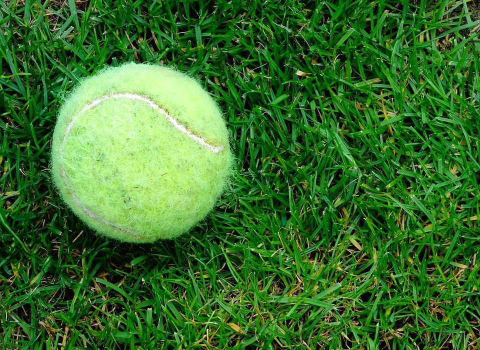 tennis-ball, grass, outdoor