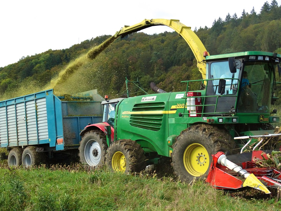 harvest time, corn harvest, harvest Stock Images Page Everypixel
