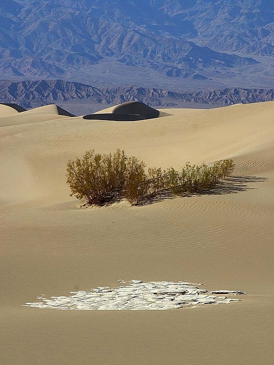 desert, dunes, sand