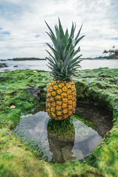 pineapple, montage, collage