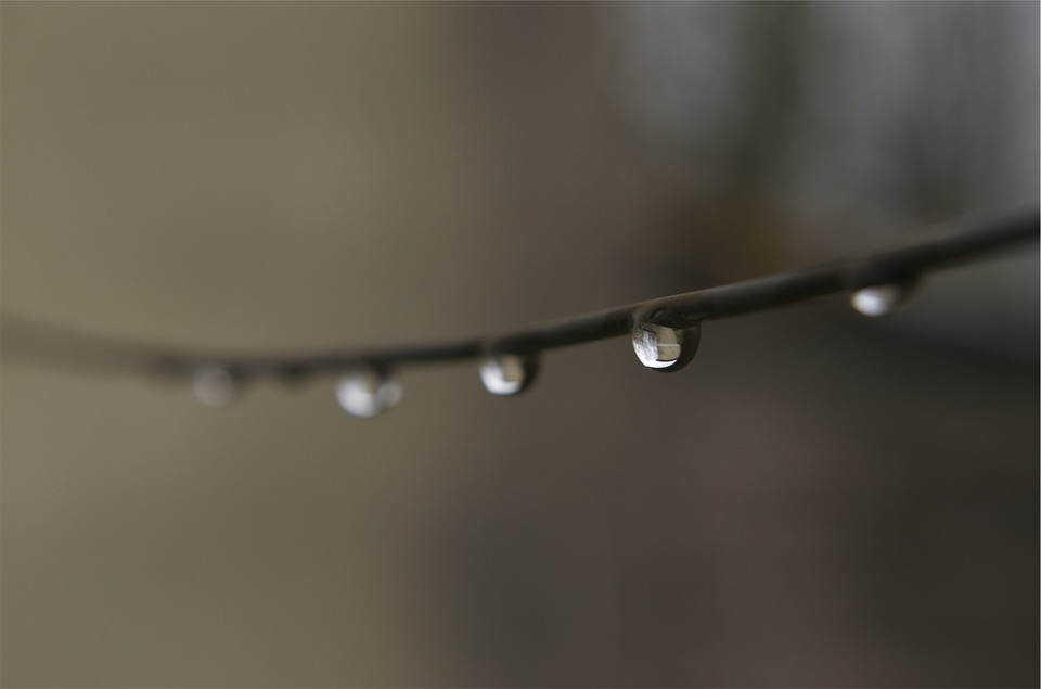 wire, drops, water
