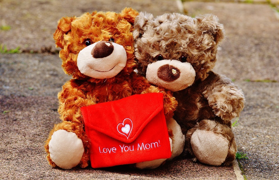 teddy, mother's day, love
