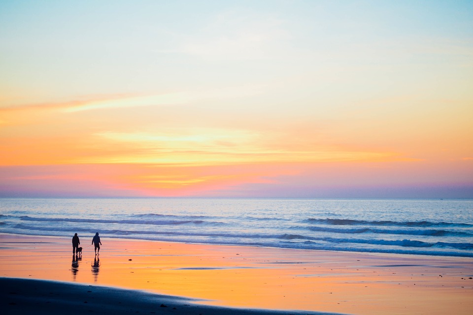 sunset beach, walking people, dog