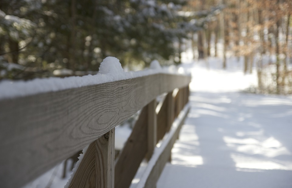 fence, winter, snow