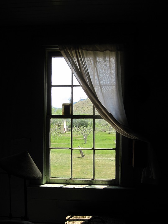 window, curtain, curtains