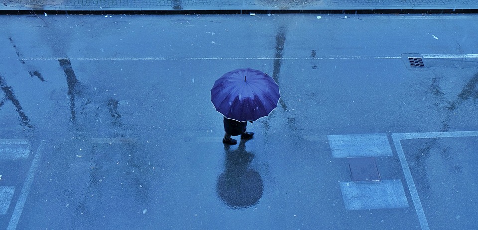 rain, umbrella, drops