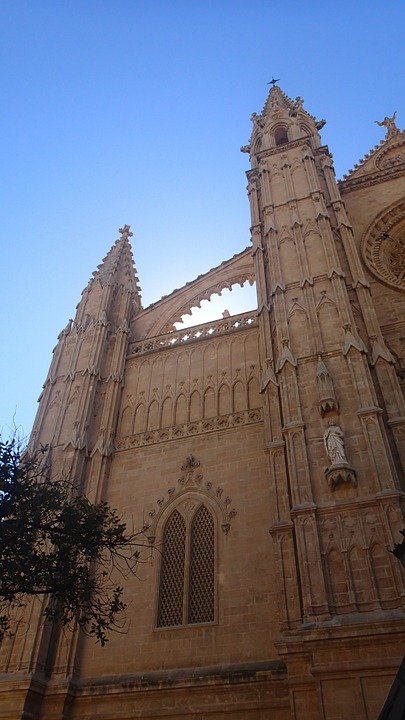 palma cathedral, cathedral, cathedral of santa maria of palma