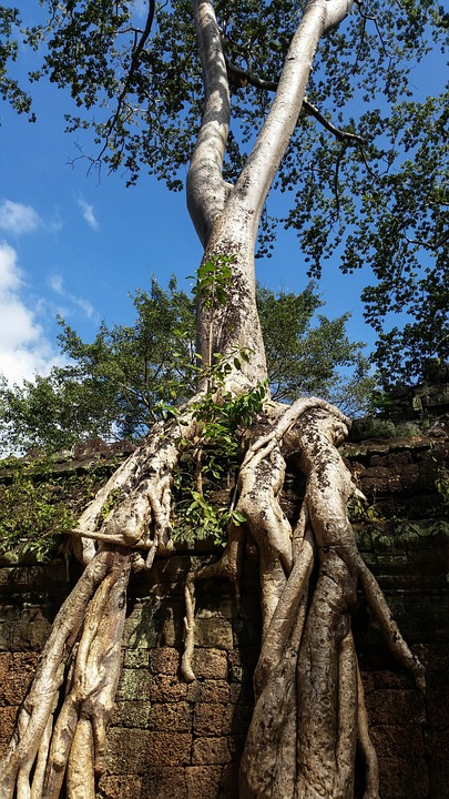 cambodia, angkor, temple