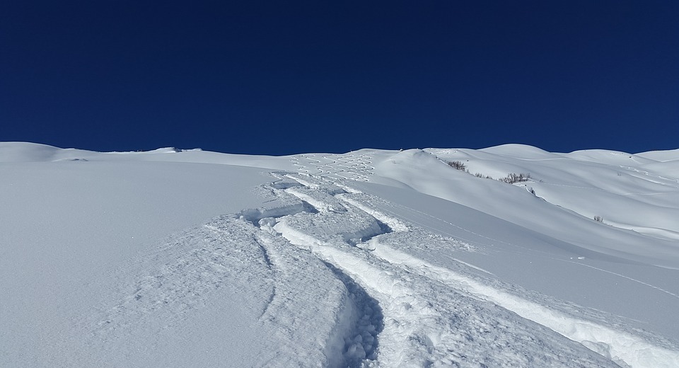 skiing, traces, snow