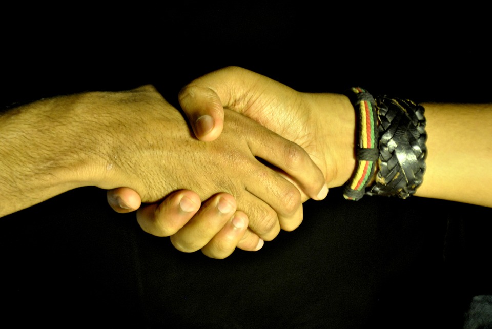 handshake, shaking hands, hands