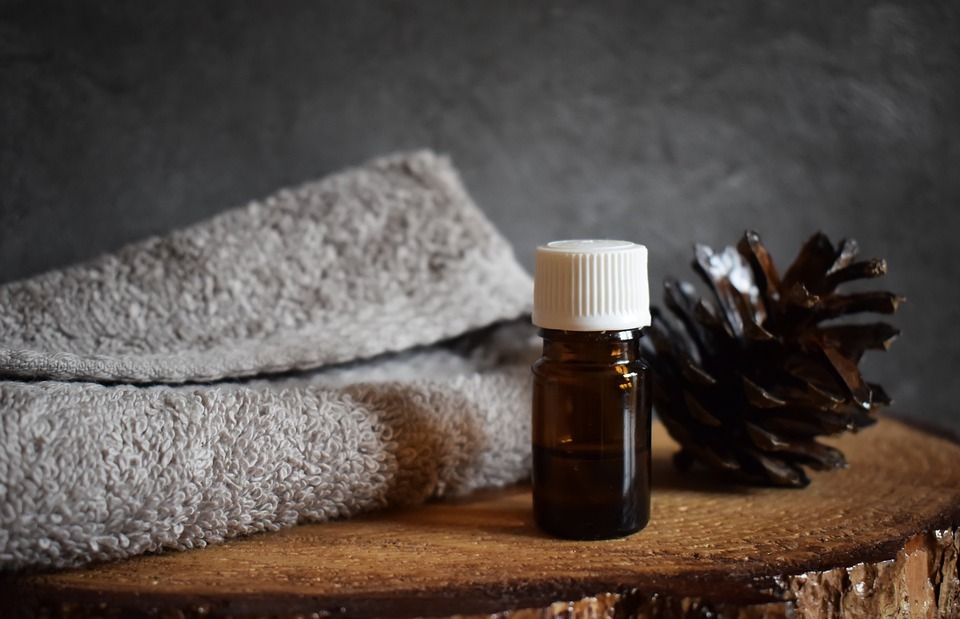 tree, essential oil, pine cone