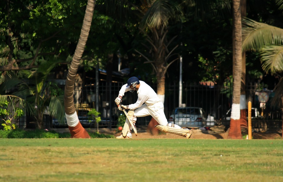 cricket, stroke, batting